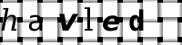 CAPTCHA-Bild